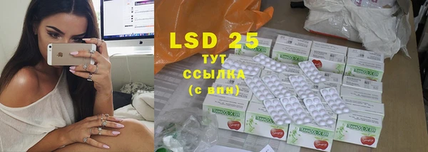 прущие грибы Волосово