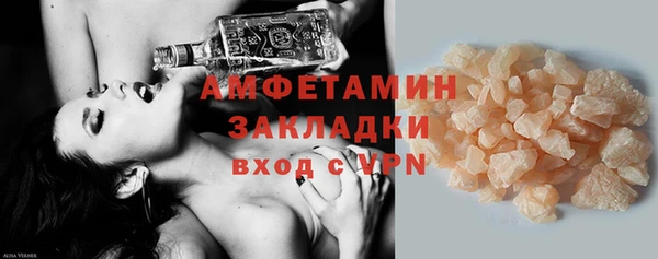 прущие грибы Волосово