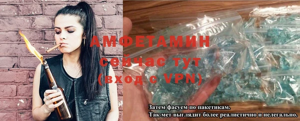 прущие грибы Волосово