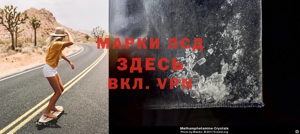 прущие грибы Волосово