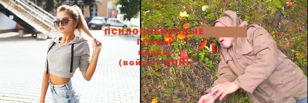 прущие грибы Волосово