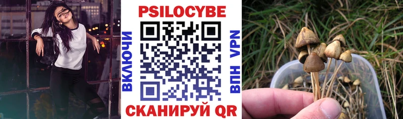 Псилоцибиновые грибы мицелий  Купить  Комсомольск 